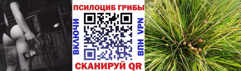 Галлюциногенные грибы Psilocybine cubensis  shop состав  ссылка на мегу вход  Сорочинск  купить закладку 